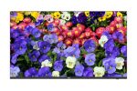 ⁦"4K LED Monitor 43⁩ - الصورة ⁦2⁩